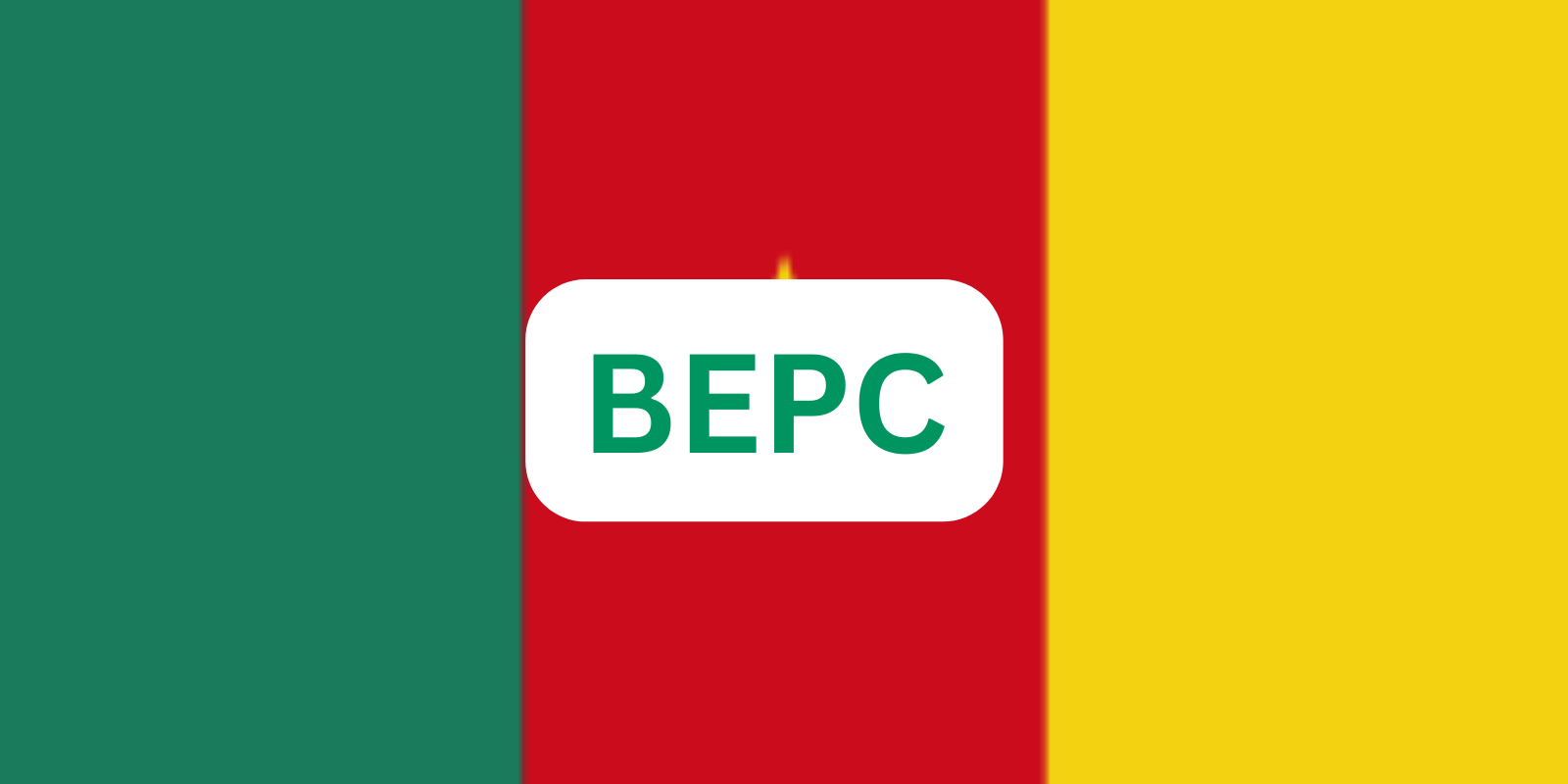 Résultats BEPC Cameroun 2024